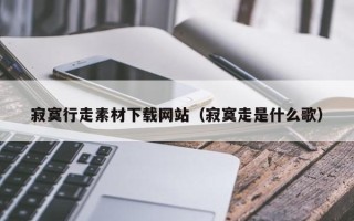 海拉尔寂寞行走素材下载网站（寂寞走是什么歌）